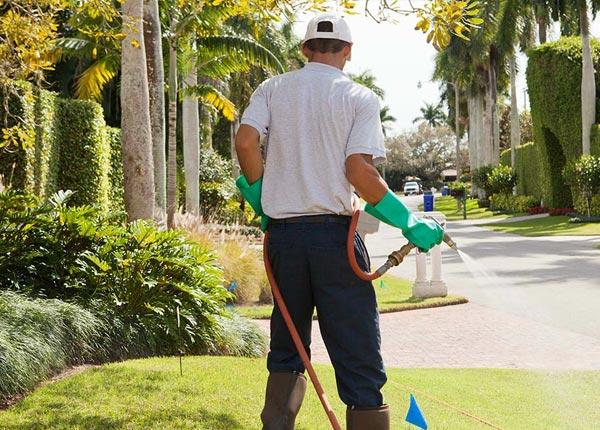 About East Brady PA Pest Control